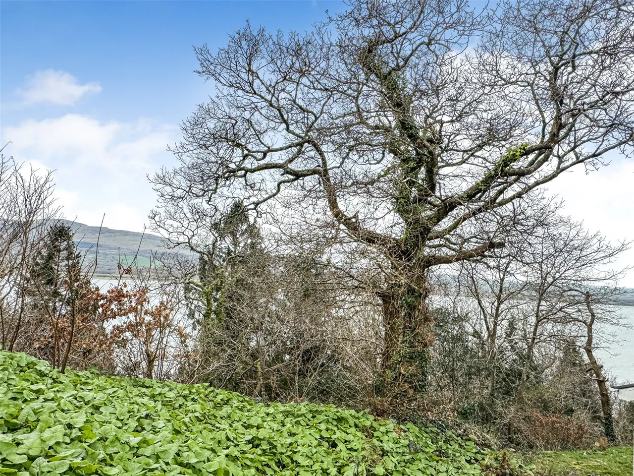 Plas Panteidal, Aberdovey/Aberdyfi, photo 8