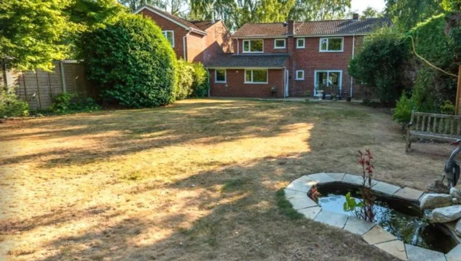 Penwood Heights, Penwood Highclere, RG20, photo 20
