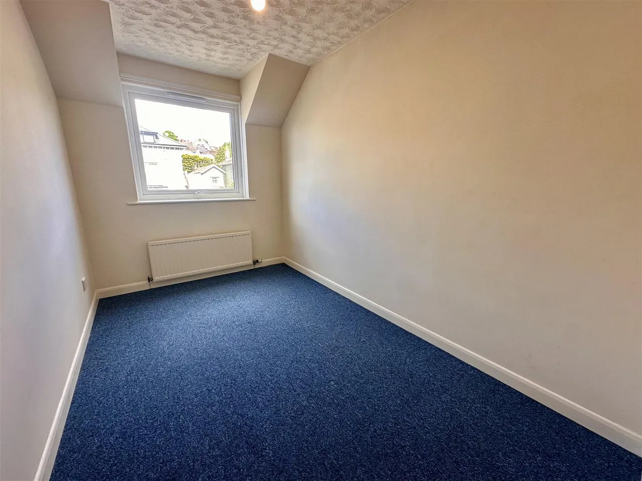 New Road, Brixham, photo 7
