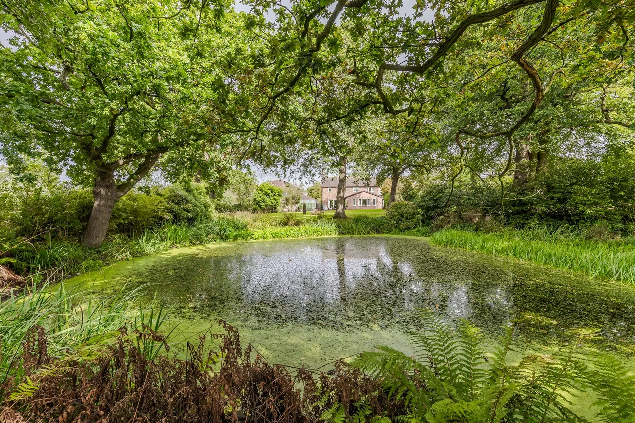 Hefferston Rise, Northwich, photo 30