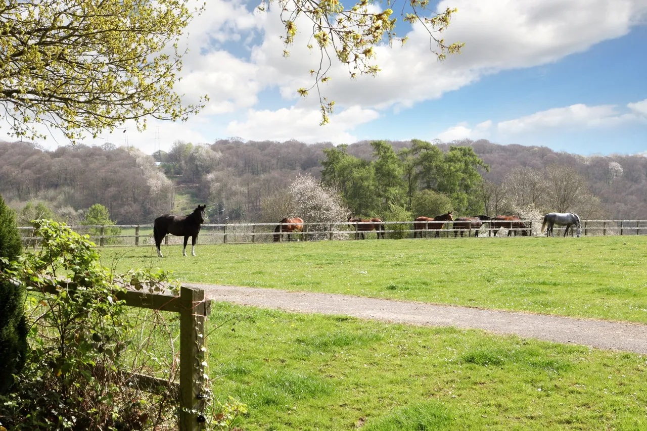 Denner Hill, Great Missenden, HP16, photo 23
