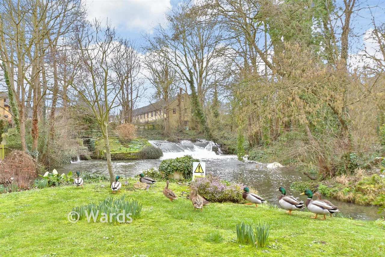 Old Mill Close, Eynsford, DA4, photo 12
