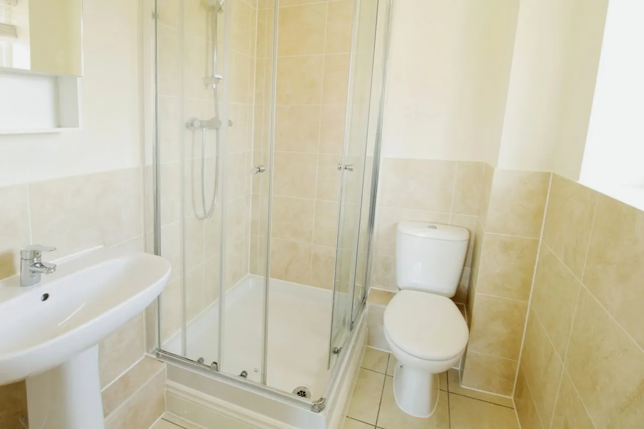 Eastgate Rise, Bury St Edmunds, IP33, photo 11