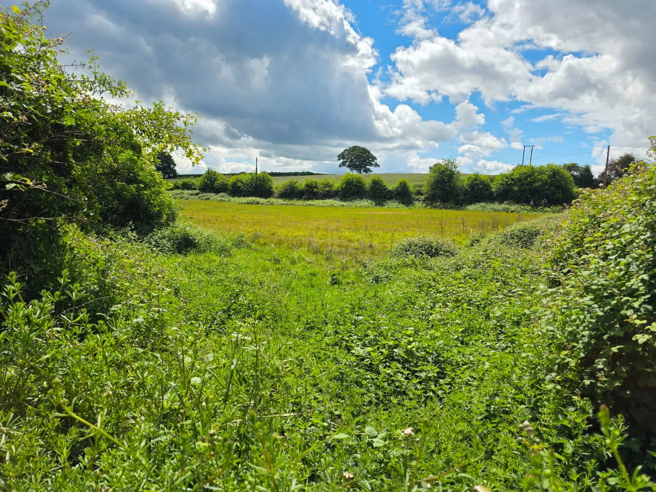 Main Road, Ravenshead, photo 3