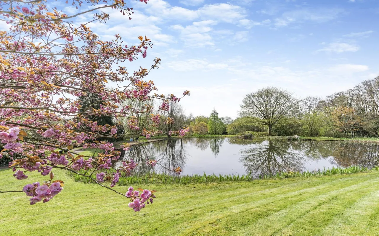 Rudry Road, Lisvane, CF14, photo 65
