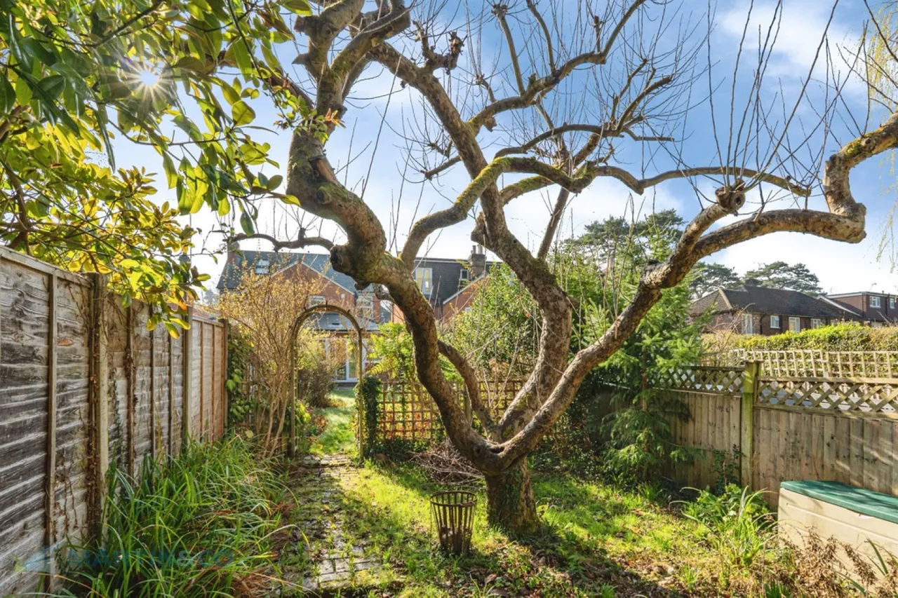 Brookwood, Woking, Surrey, photo 12