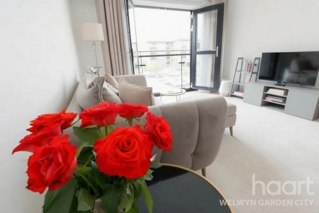 Bessemer Road, Welwyn Garden City, AL7, photo 3