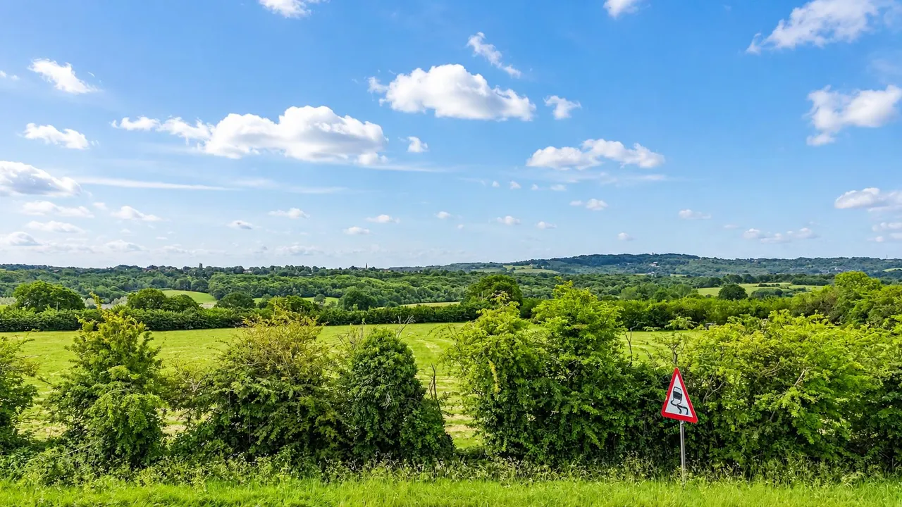 Main Road, Icklesham, photo 39
