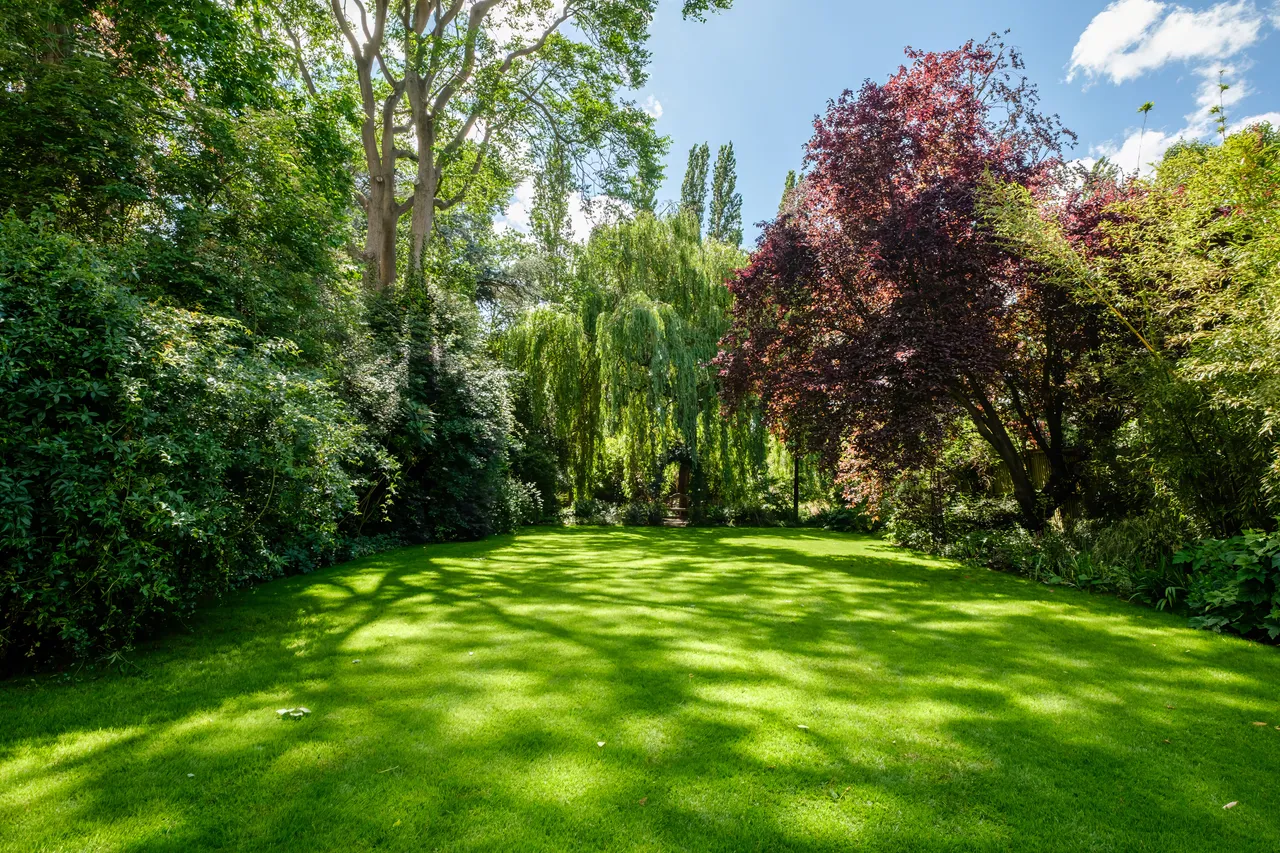 Coolhurst Road, London, N8, photo 16