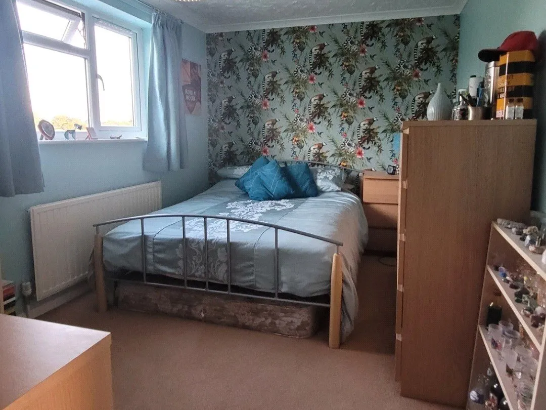 Hall Moor Road, Hingham, Norwich, Norfolk, NR9, photo 13