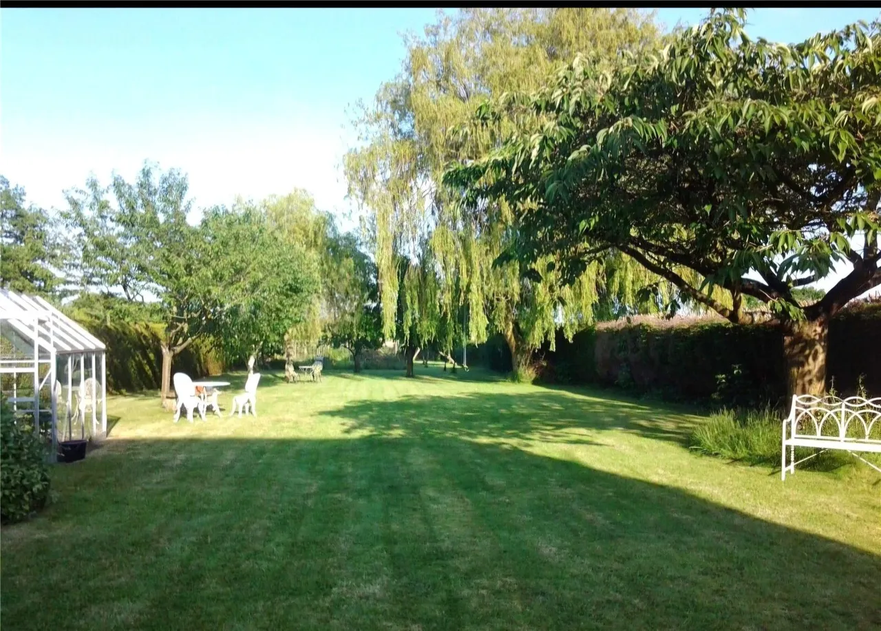 Hall Moor Road, Hingham, Norwich, Norfolk, NR9, photo 6