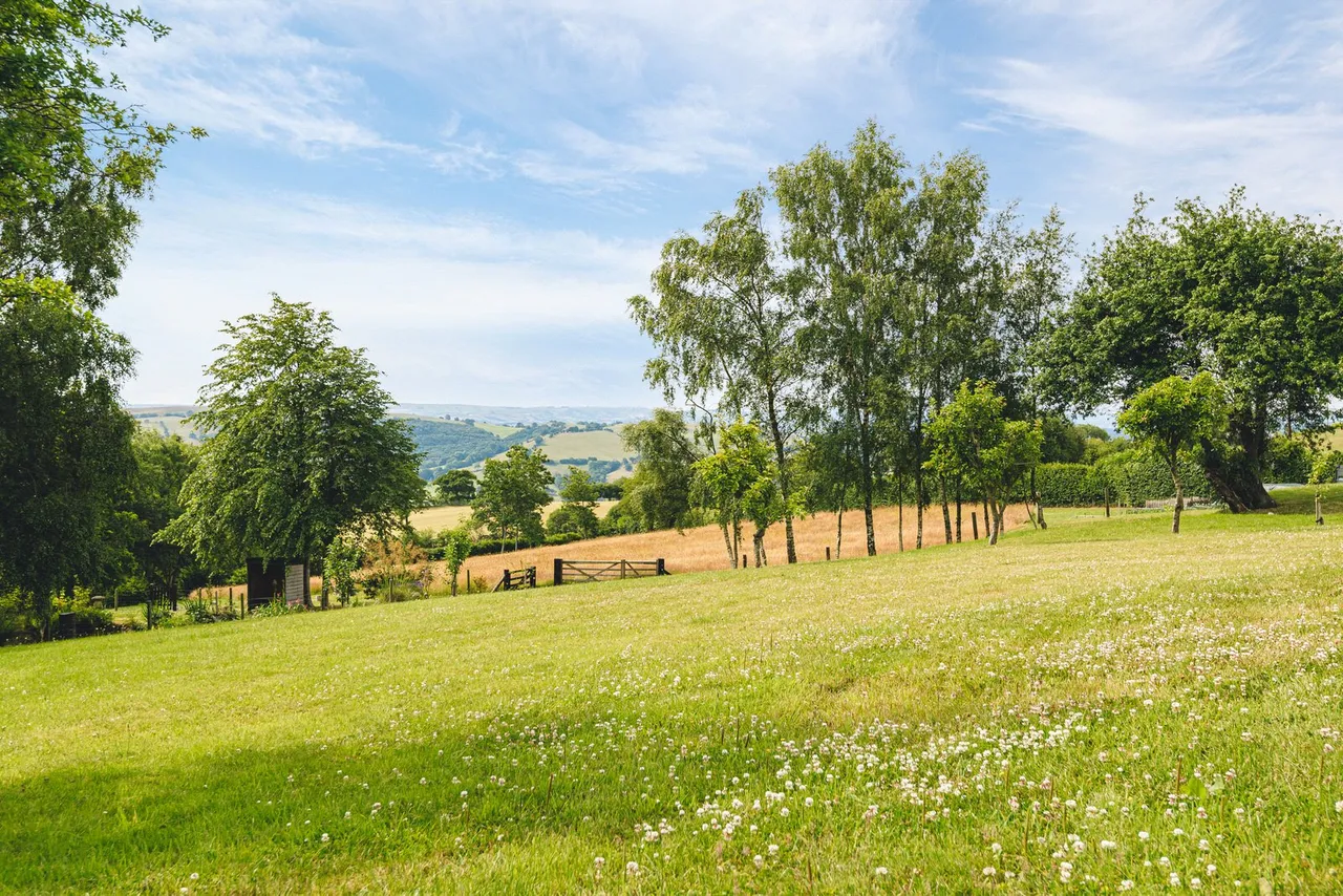 Llanfair Caereinion, Welshpool, photo 28
