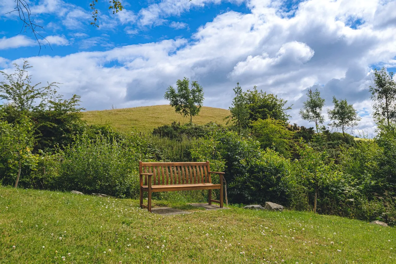 Llanfair Caereinion, Welshpool, photo 26