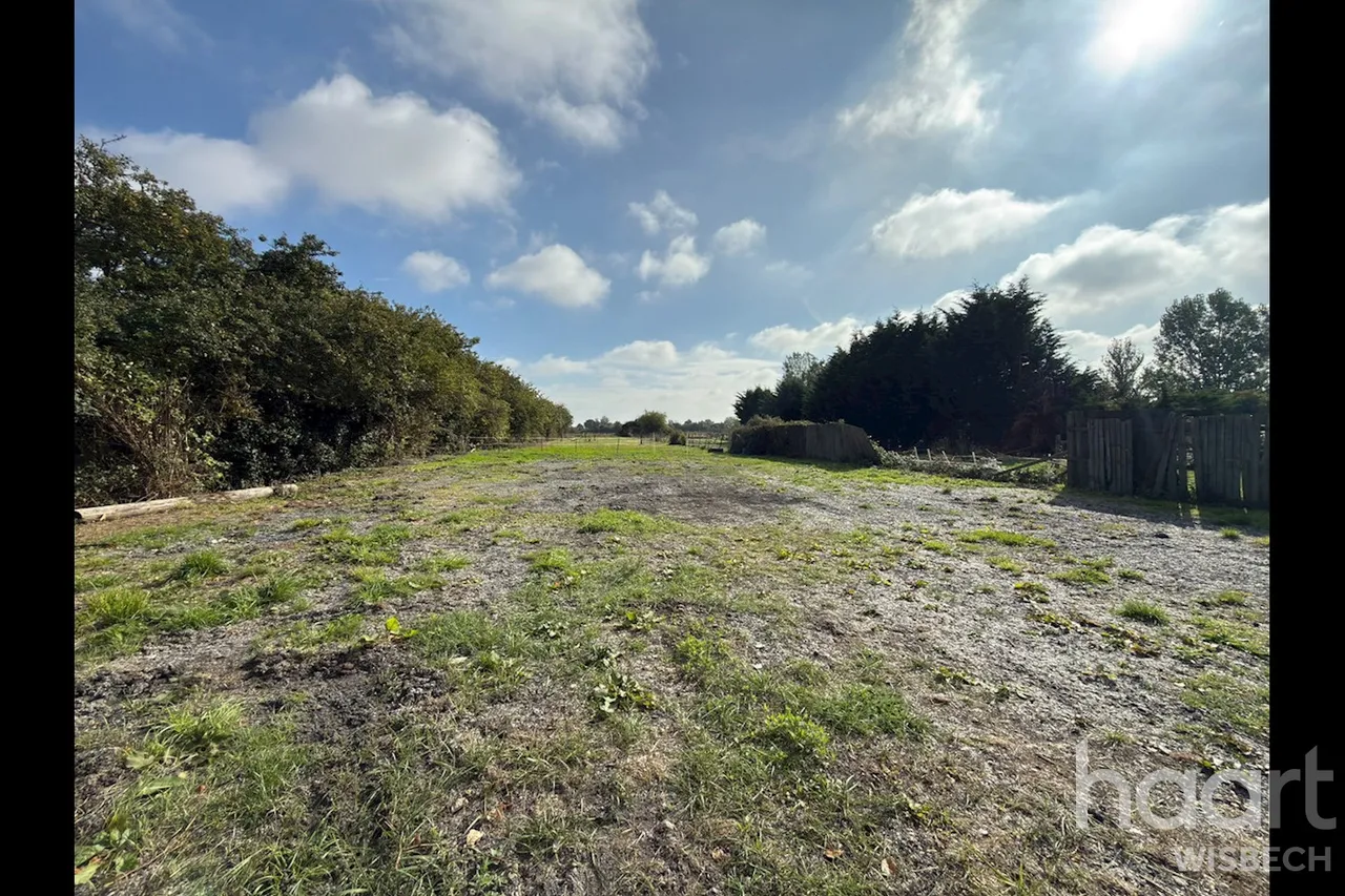 Station Road South, Walpole St Andrew, PE14, photo 25