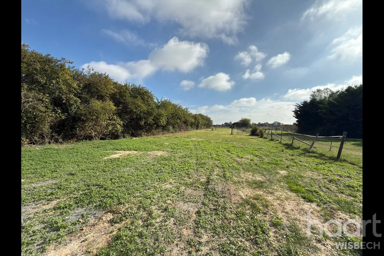 Station Road South, Walpole St Andrew, PE14, photo 24