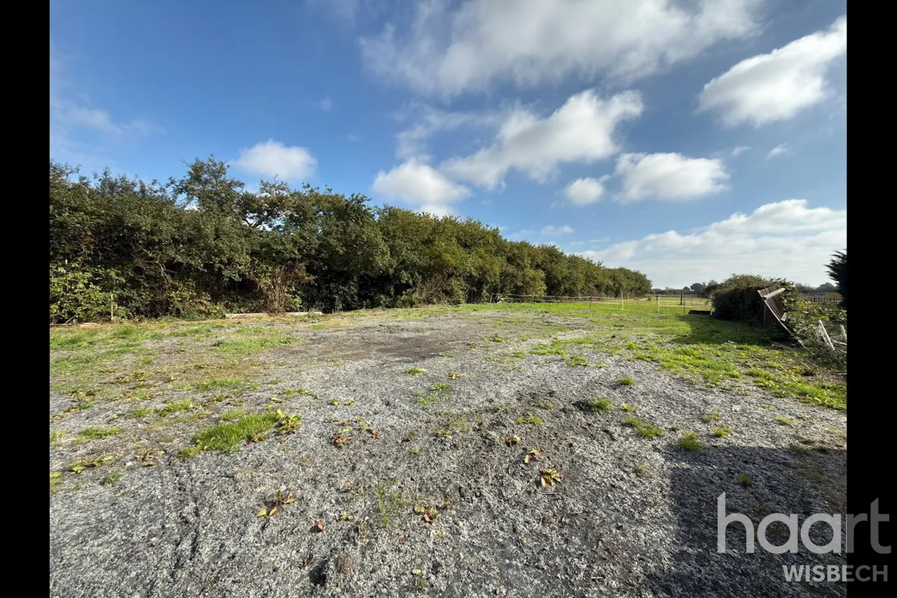 Station Road South, Walpole St Andrew, PE14, photo 26