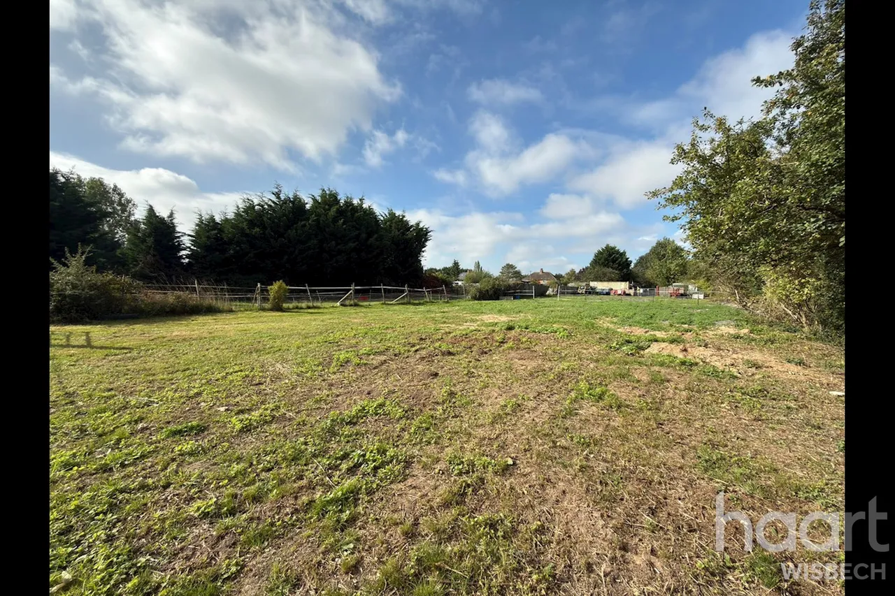Station Road South, Walpole St Andrew, PE14, photo 6