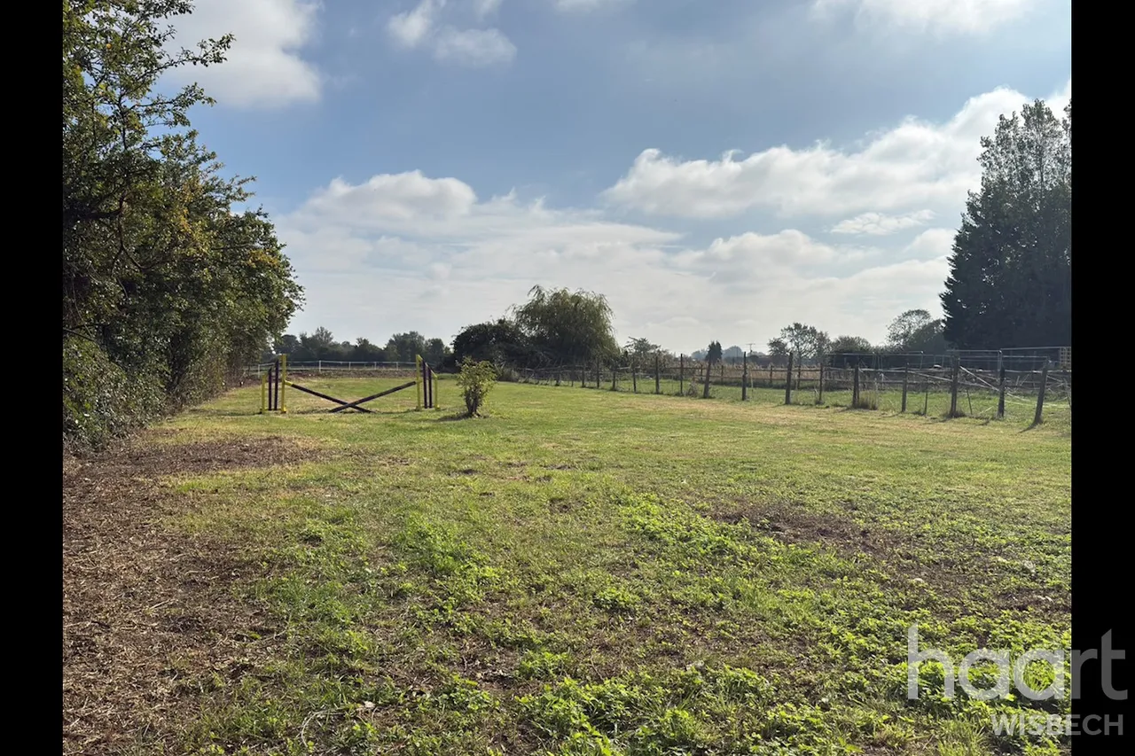 Station Road South, Walpole St Andrew, PE14, photo 23