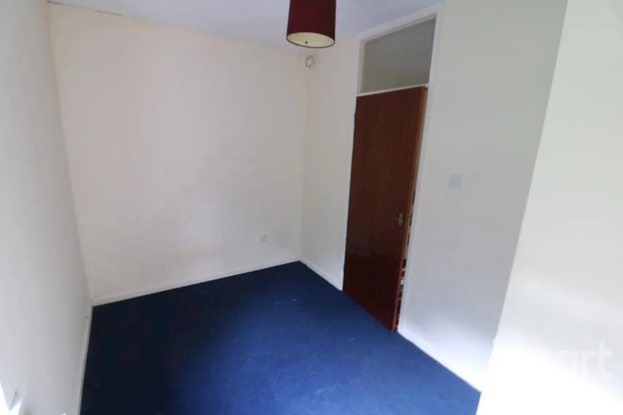 Chelmsford Road, Exeter, EX4, photo 8