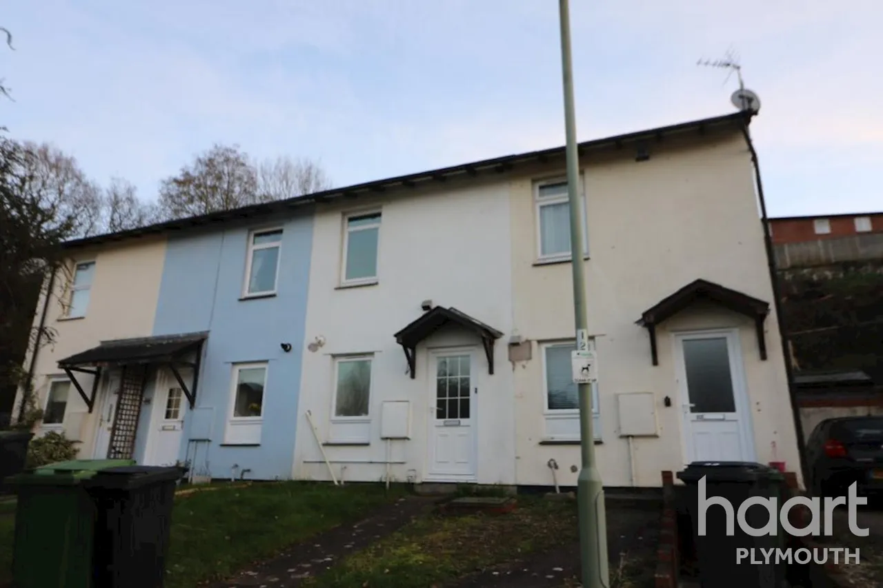 Chelmsford Road, Exeter, EX4, photo 10