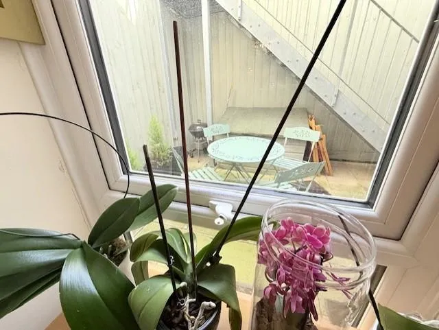 Grove Road, Eastbourne, BN21, photo 9