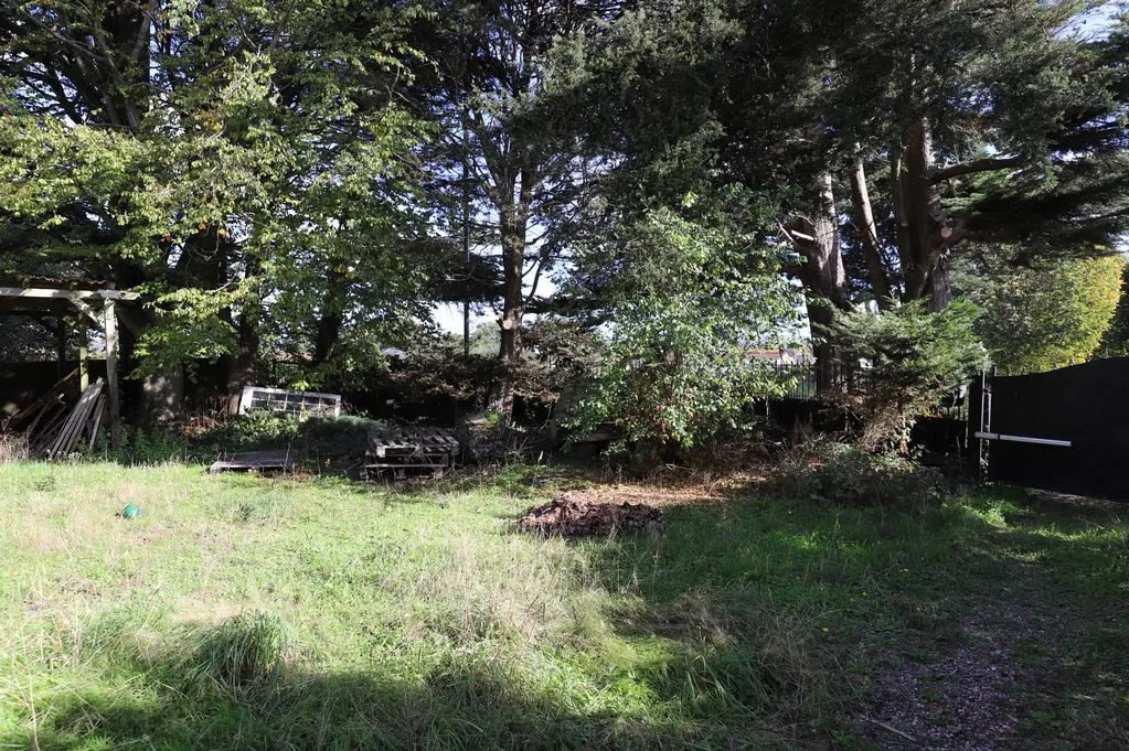 Rydon Lane, Exeter, photo 20