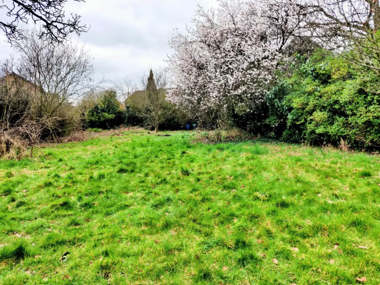 Saughall Road, Chester, CH1, photo 4