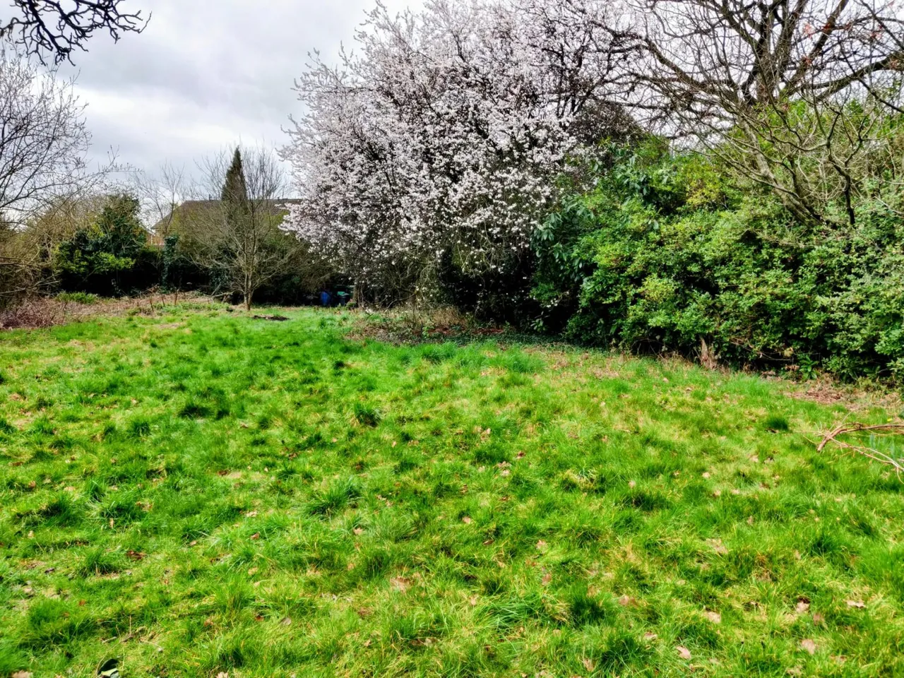 Saughall Road, Chester, CH1, photo 6