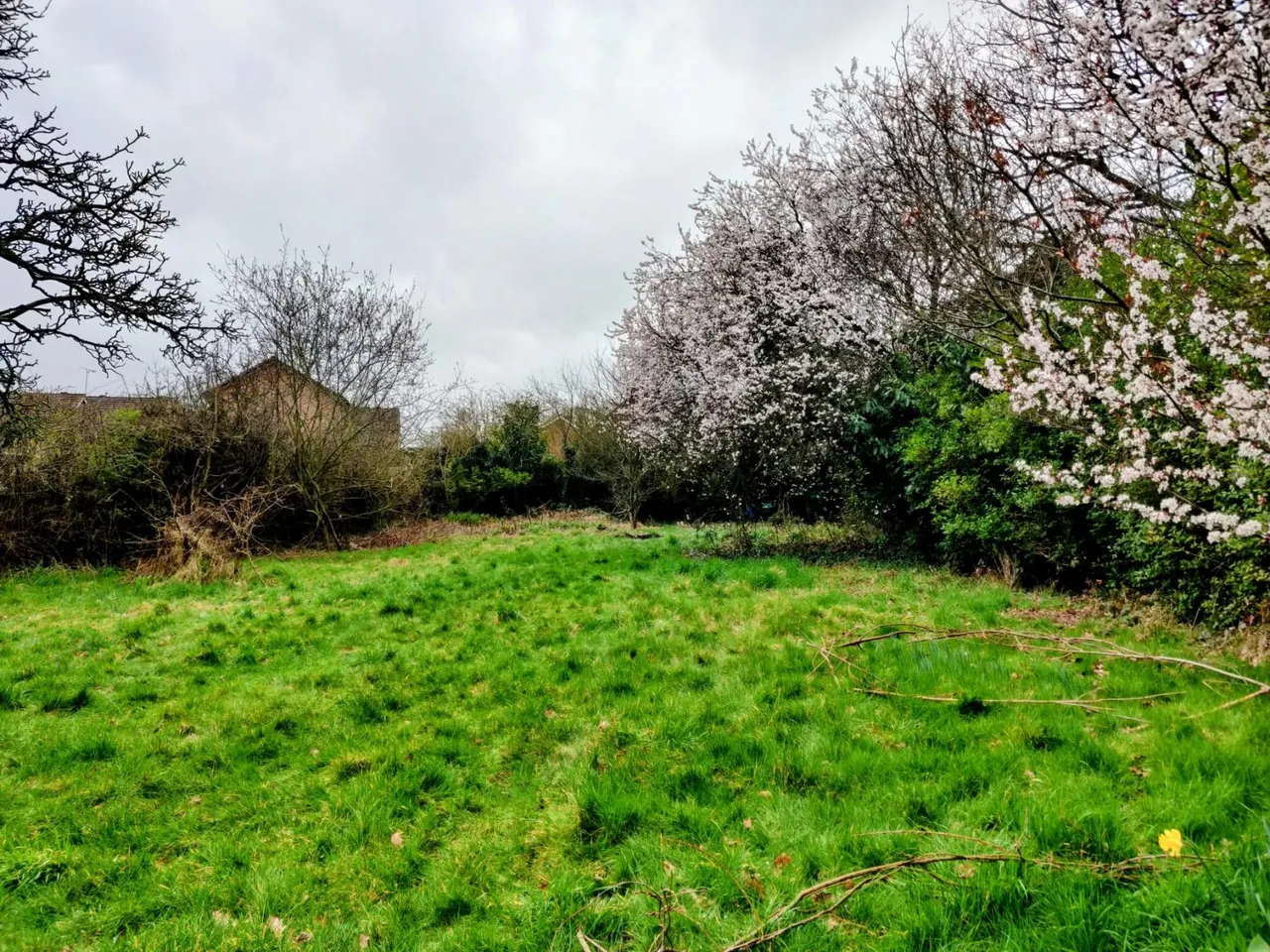 Saughall Road, Chester, CH1, photo 7
