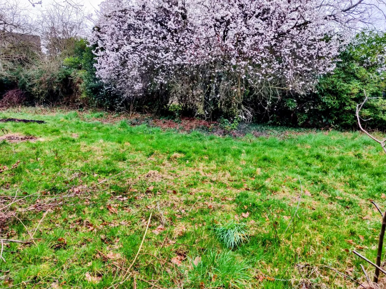 Saughall Road, Chester, CH1, photo 5