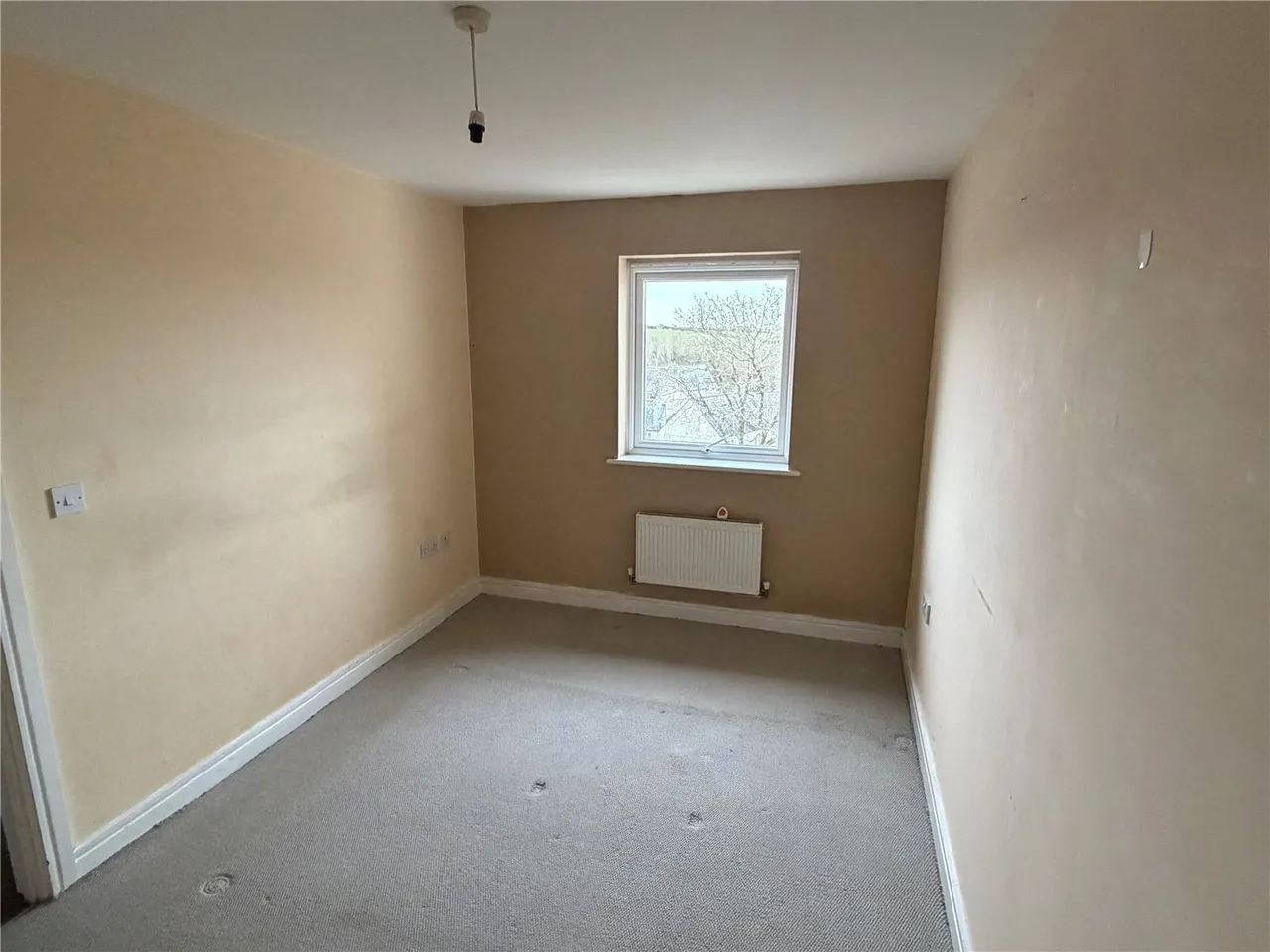 Jago Close, Liskeard, PL14, photo 15