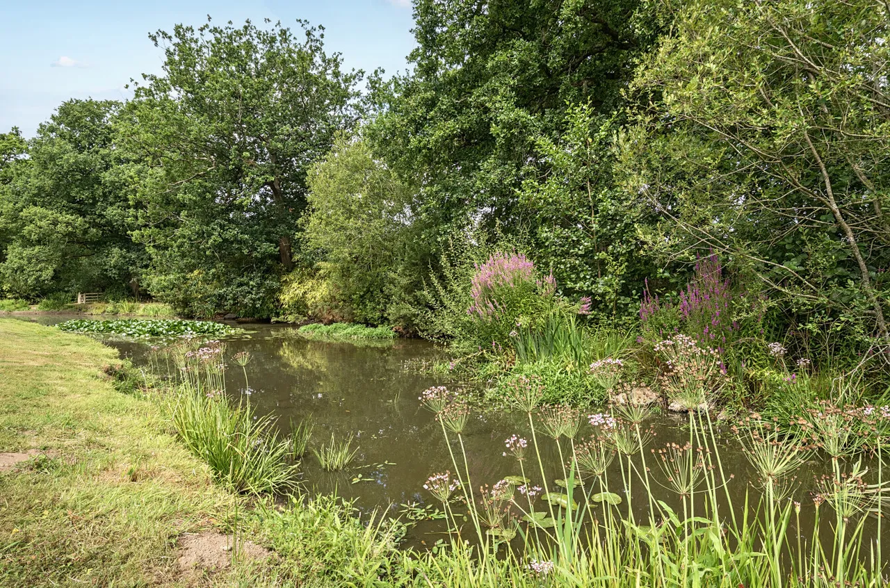 Barkham Manor, Barkham, Wokingham, Berkshire, RG41 4DQ, photo 2