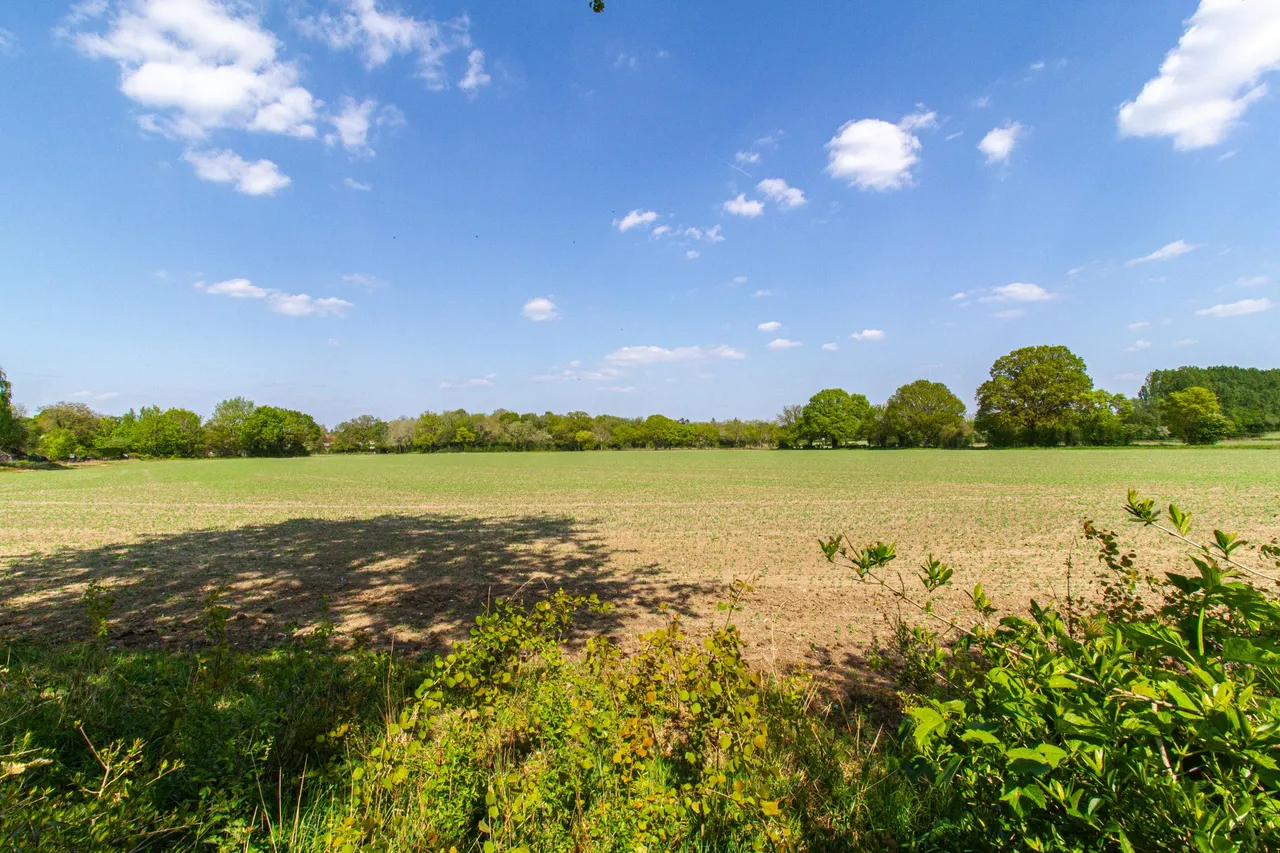 Hitches Lane, Crookham Village, Fleet, GU51 5SW, photo 2