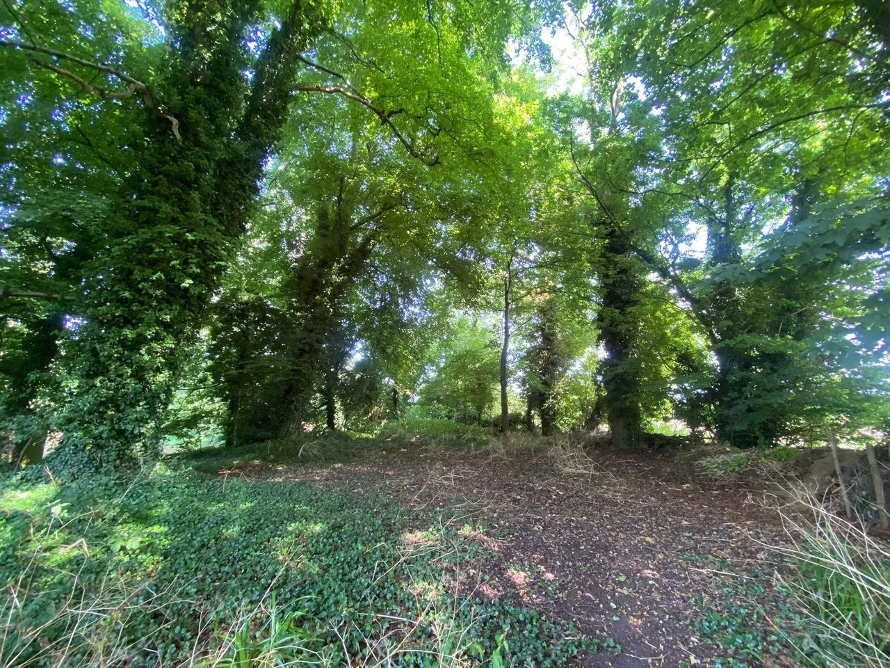 Murtry, Orchardleigh, BA11, photo 20