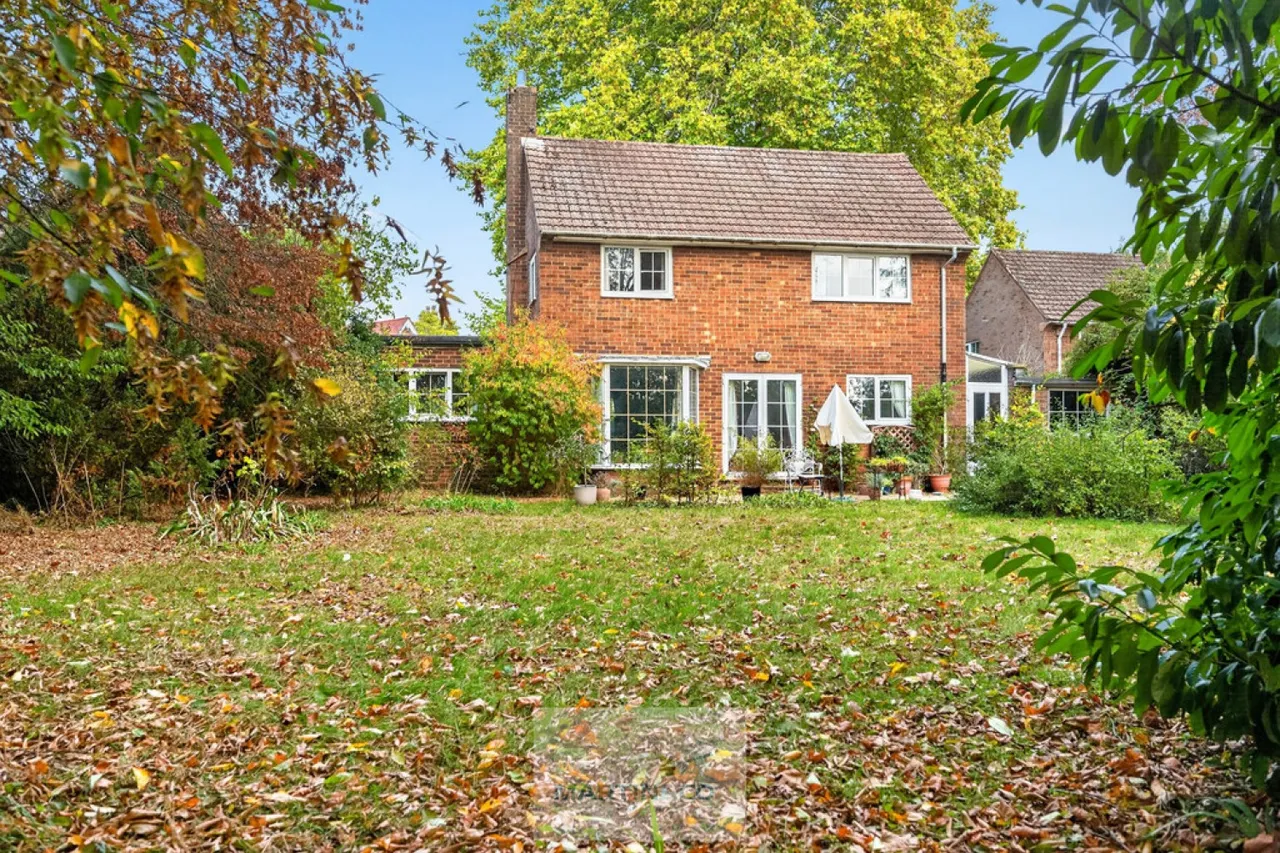 Beehive Green, Welwyn Garden City, AL7, photo 22