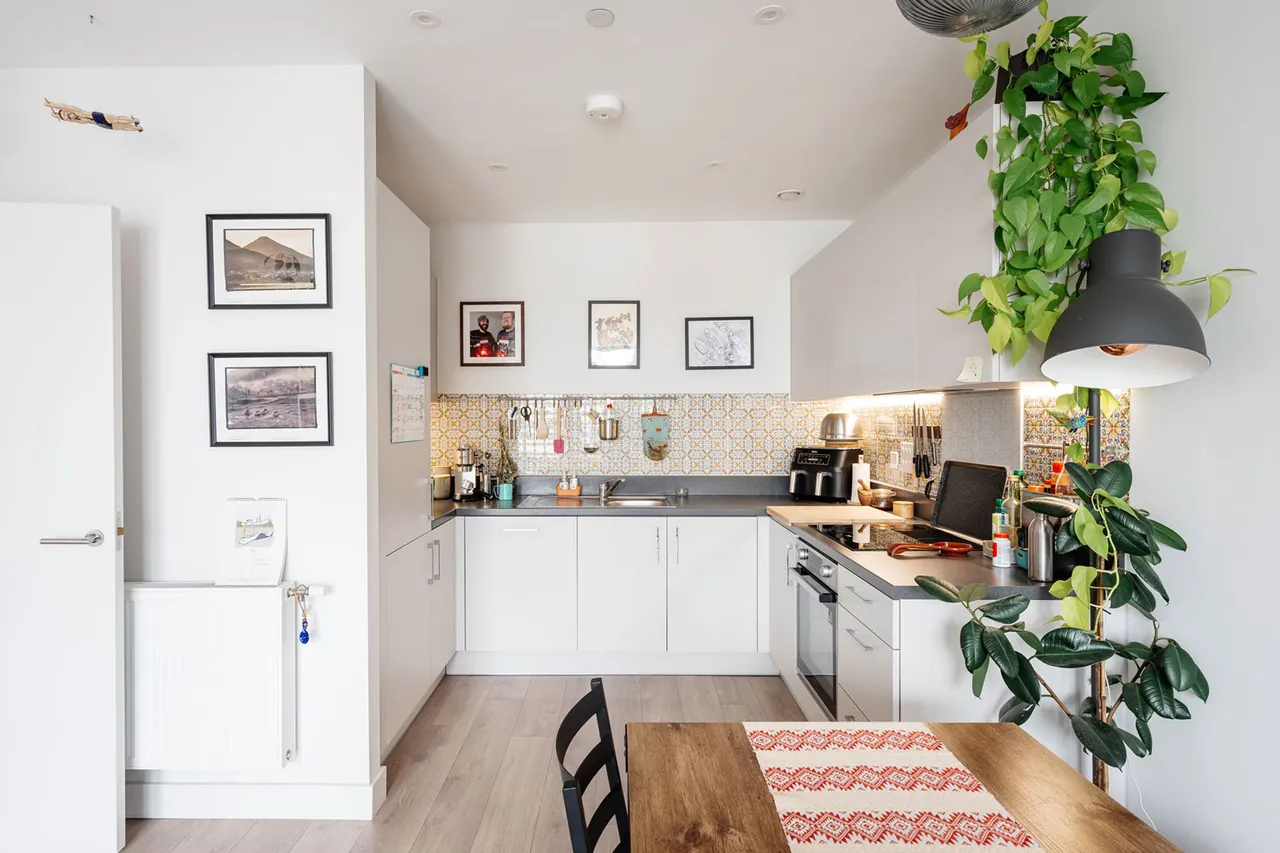 Coster Avenue, Willowbrook House, N4, photo 11