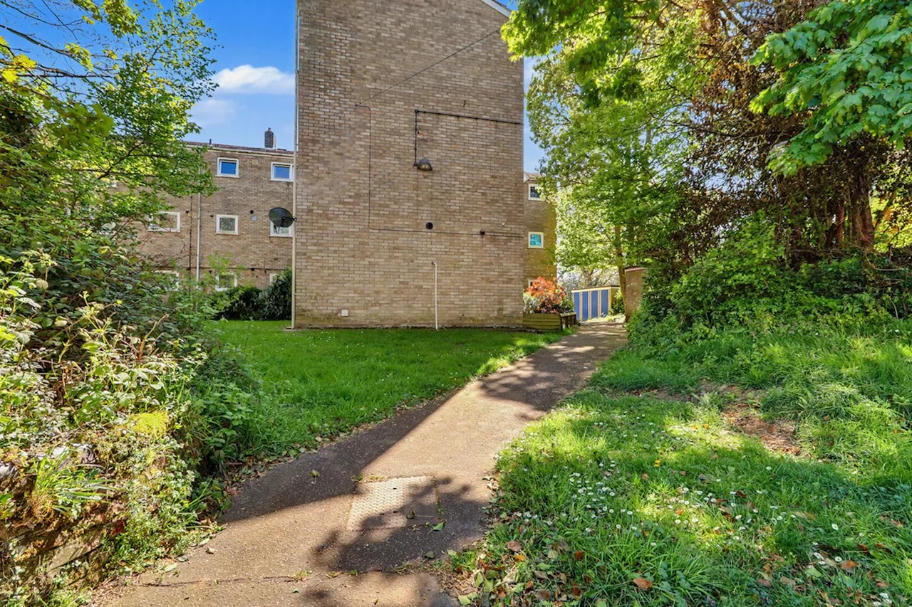 William Mear Gardens, Norwich, NR1, photo 5