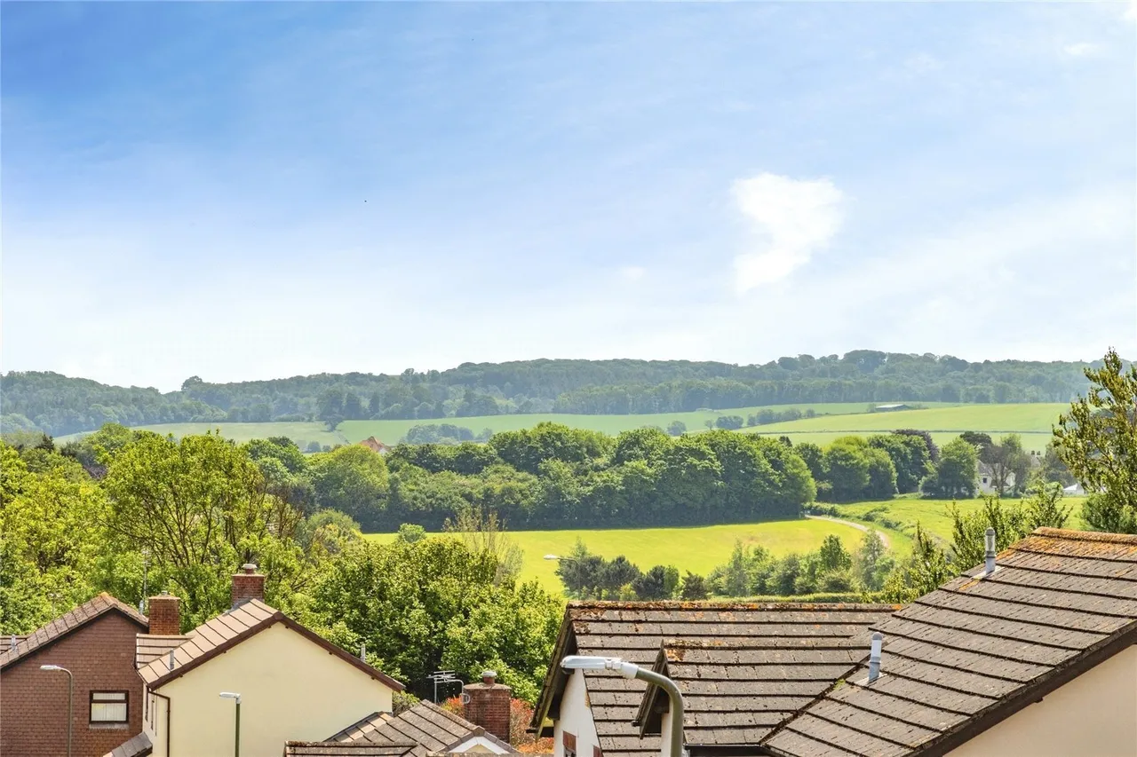 Steed Close, Paignton, TQ4, photo 17