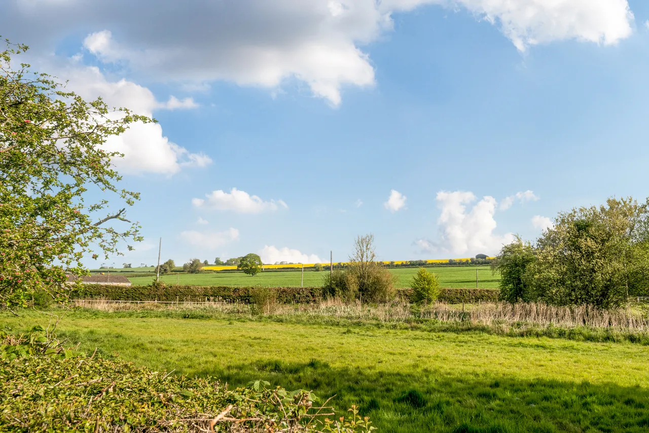 School Lane, Bishop's Sutton, SO24, photo 9