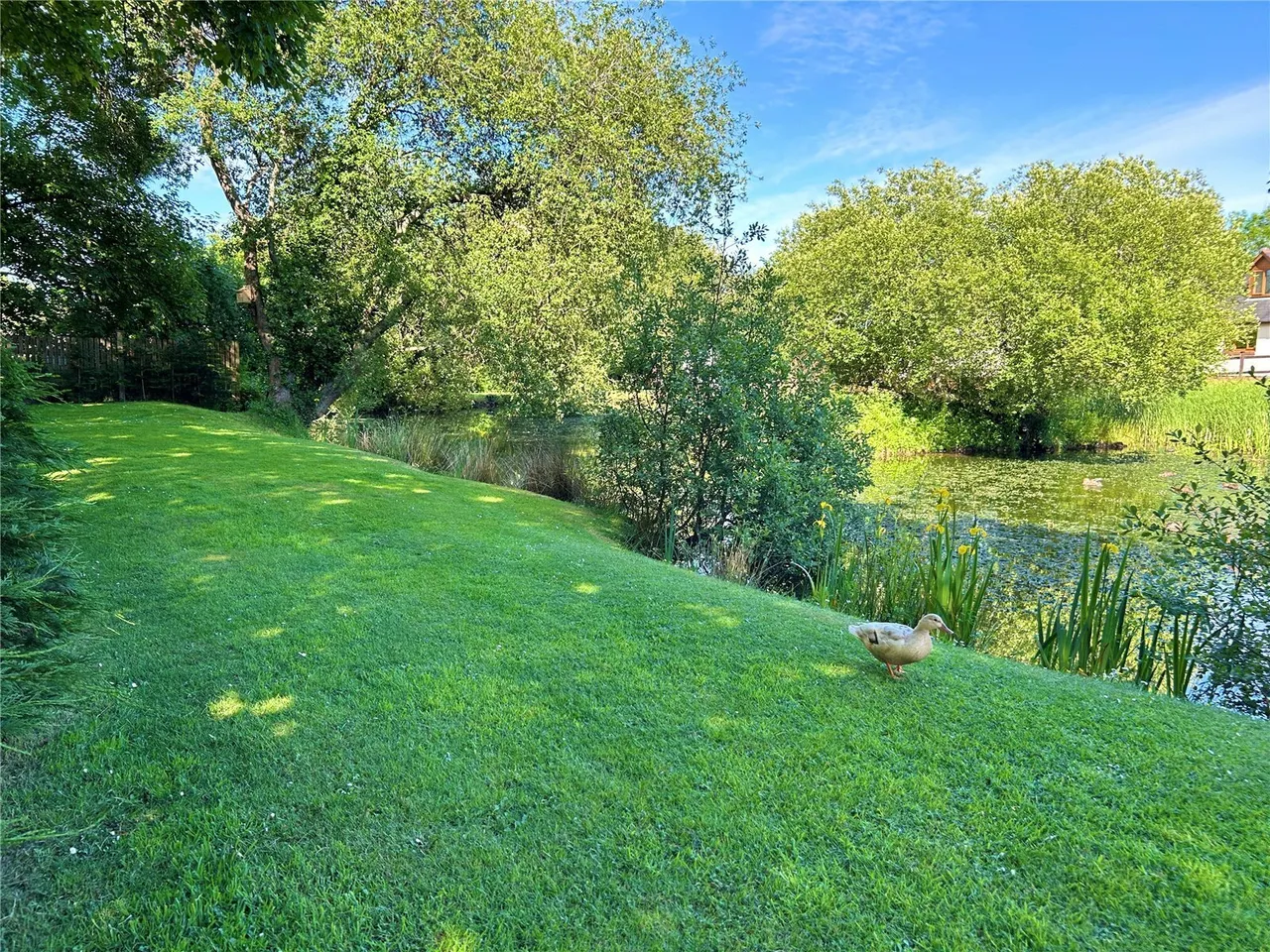 Silverdale Close, Johnston, SA62, photo 25