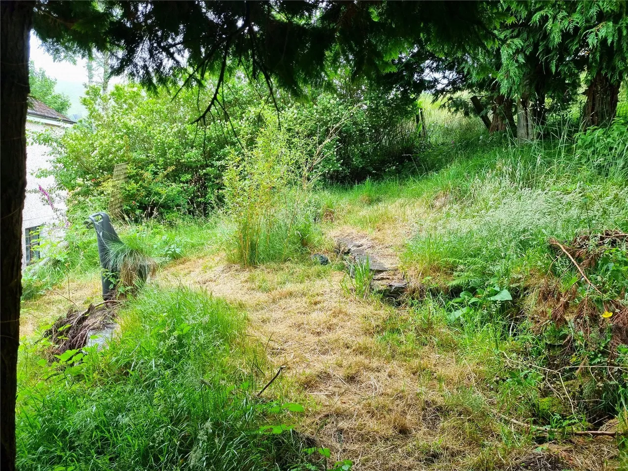 Ponterwyd, Aberystwyth, SY23, photo 15