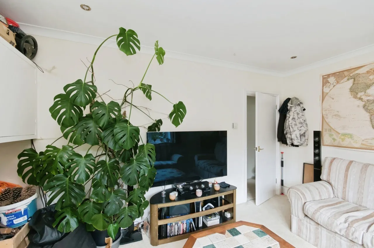 Bolney Road, Brighton, BN2, photo 13