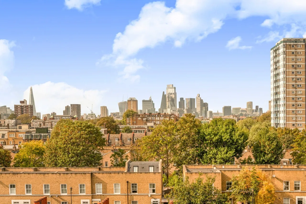 White Horse Road, London, E1, photo 12
