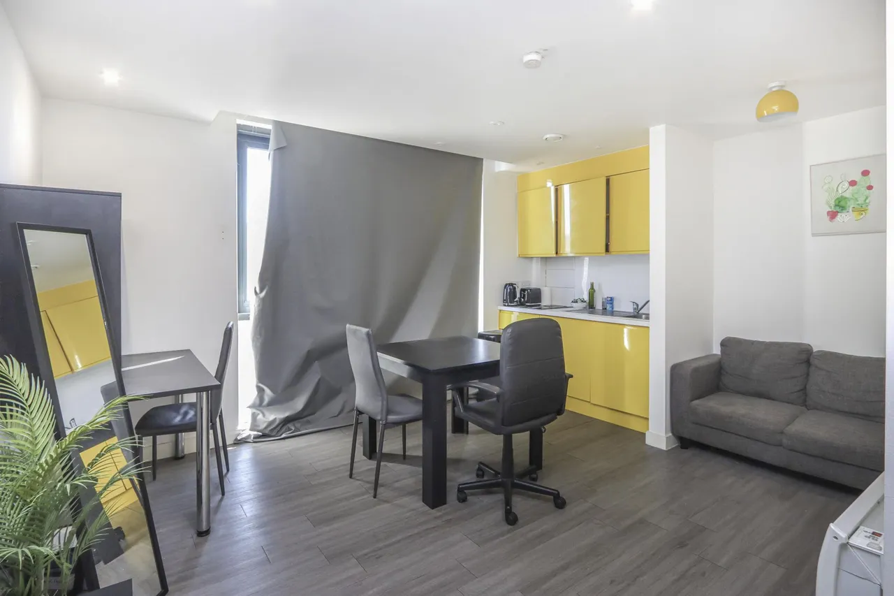 Priestley Street, Sheffield, S2, photo 14
