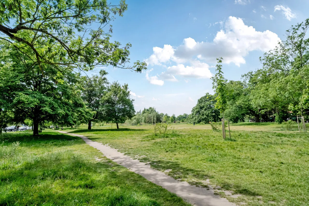 Clapham Common South Side, Clapham, London, SW4, photo 8