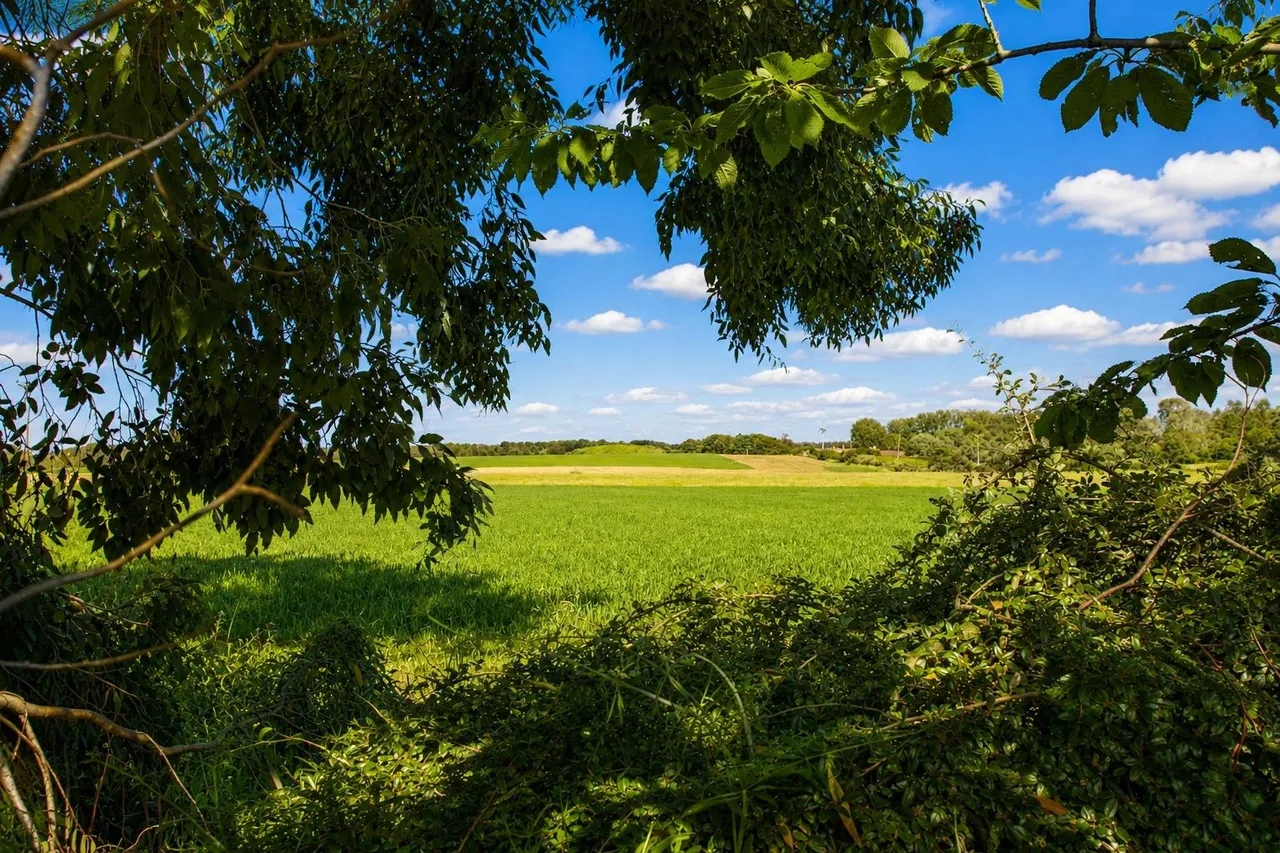 Wellhead Lane, Nocton, LN4, photo 24