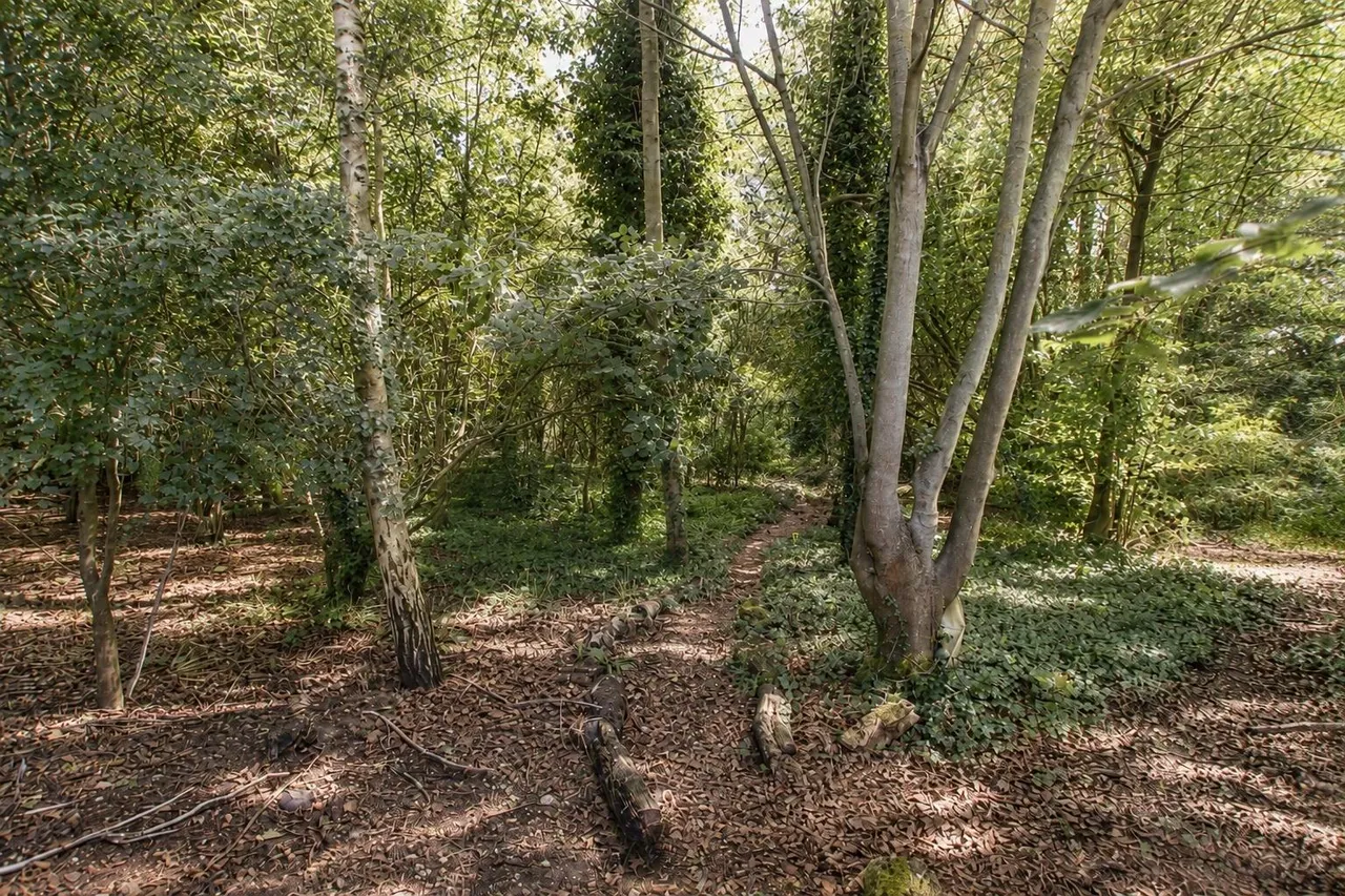 Wellhead Lane, Nocton, LN4, photo 27