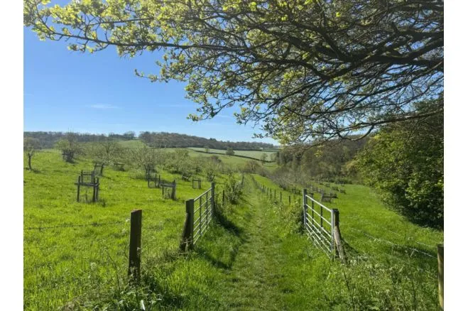 Rush Hill, Bath, BA2, photo 34