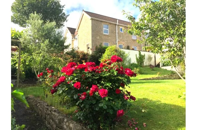 Rush Hill, Bath, BA2, photo 21