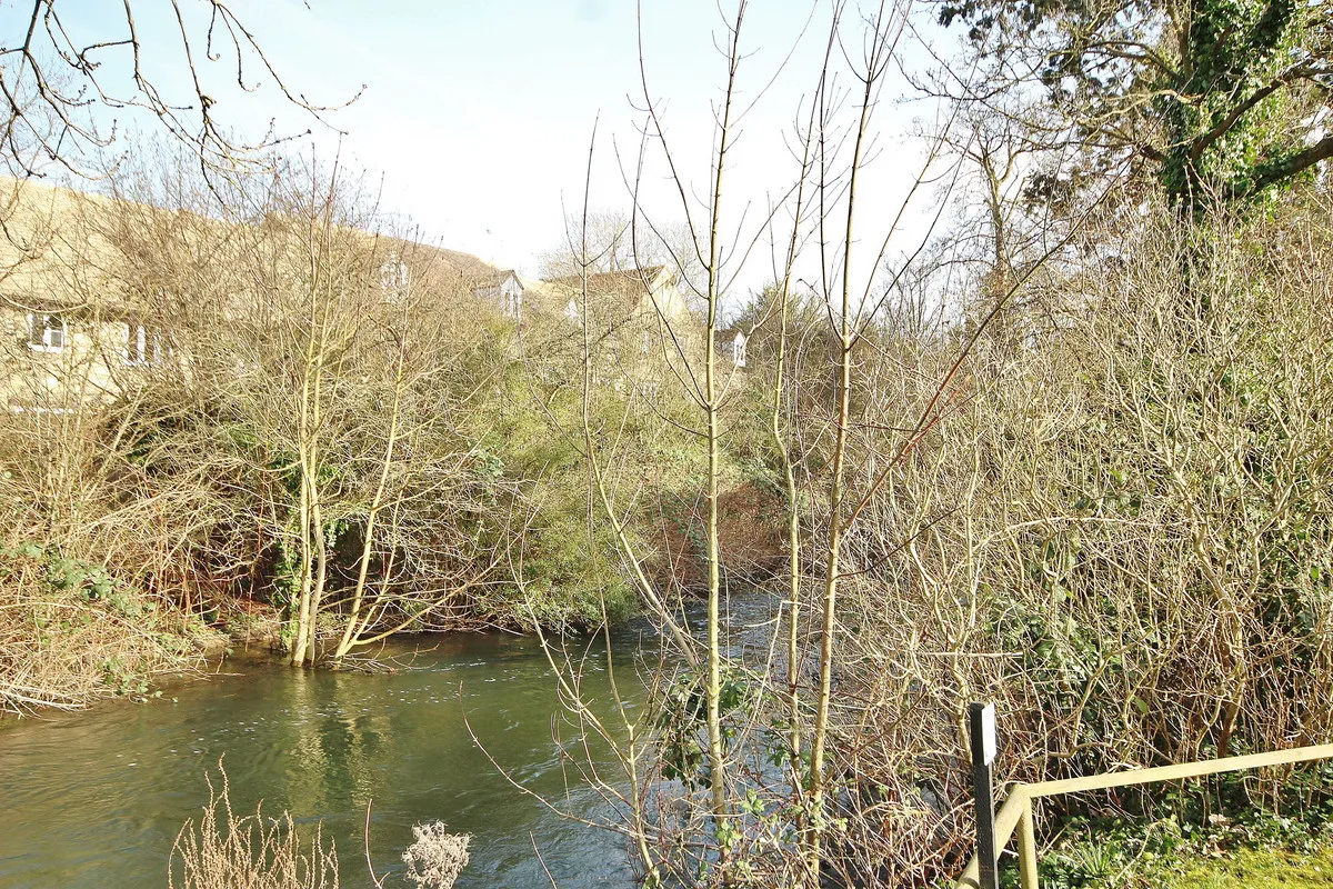 Riverside Gardens, Witney, OX28, photo 11